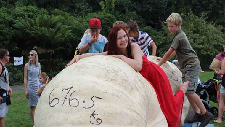 Отзыв Отзыв