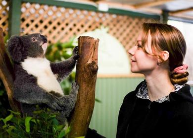 Отзыв Отзыв