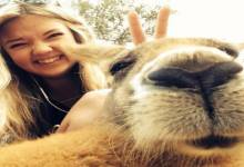 Отзыв Отзыв