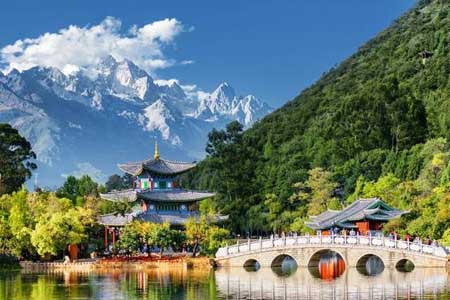 варианты обучения