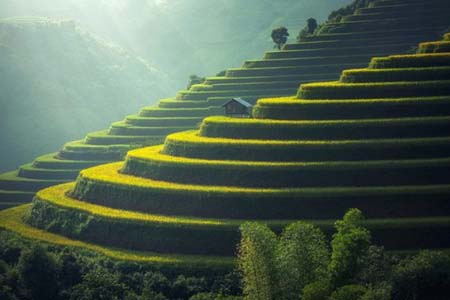 варианты обучения