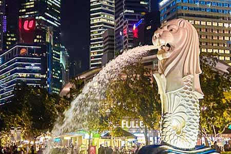 языковые курсы