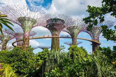 обучение в Сингапуре