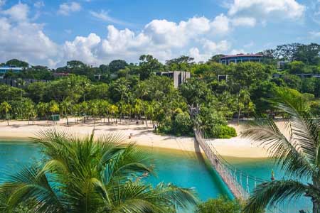 Типы языковых программ для детей в Сингапуре