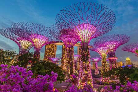 выбор школы