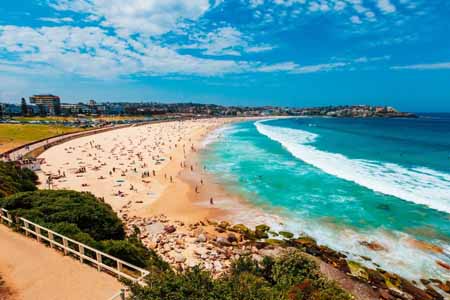 учеба в австралии