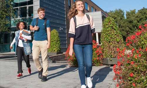 типы летних языковых программ