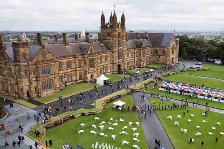 поступление в University of Sydney