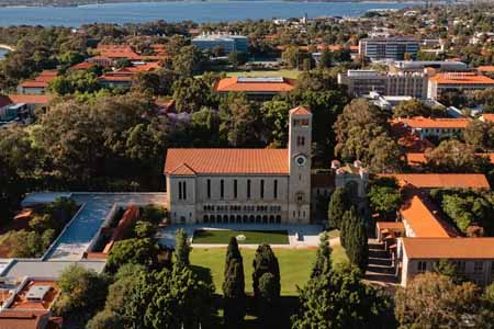 обучение в вузах