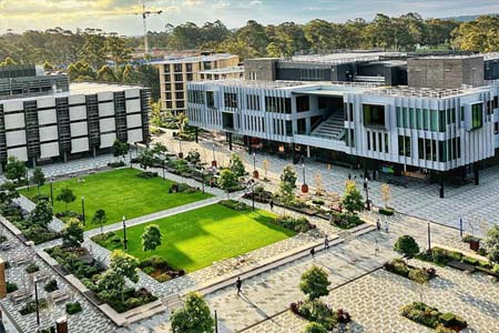 поступление в Macquarie University 