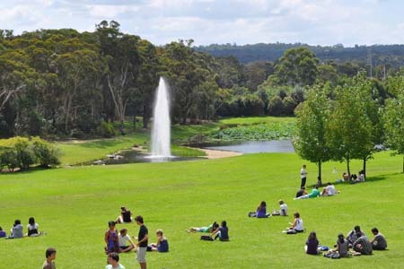 на каммпусе Macquarie University на кампусе Macquarie University