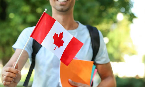 перспективы после учебы