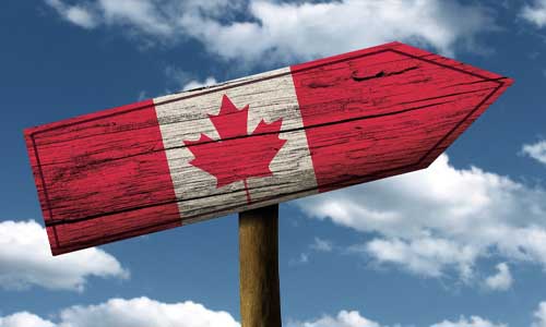 бакалавриат в Канаде