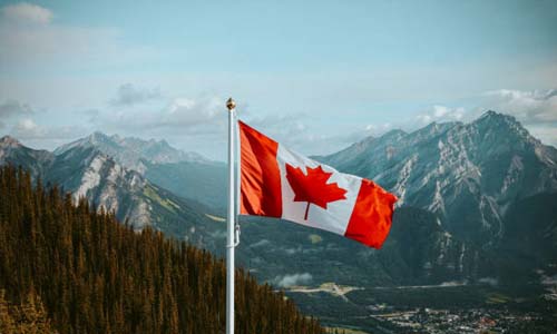 университеты Канады