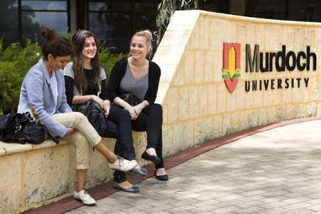 программы Murdoch University Dubai