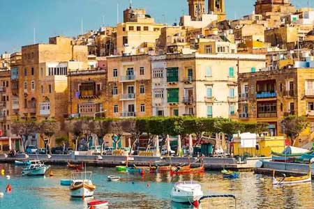 языковая школа