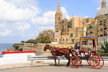 Языковые школы на Мальте