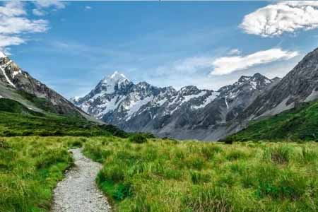 обучение в Новой Зеландии