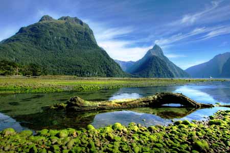 программы обучения в Новой Зеландии