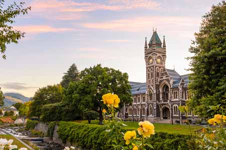 работа после учебы