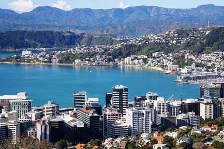 школа английского в Новой Зеландии