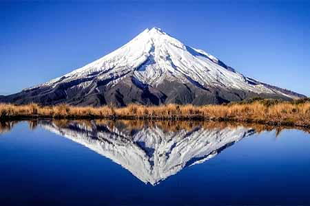 обучение в Новой Зеландии