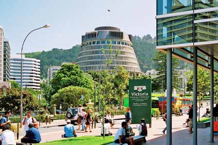 карьера после обучения