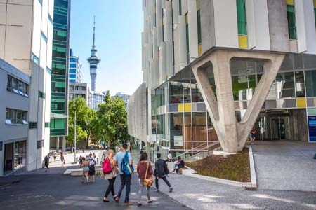 учеба в Новой Зеландии