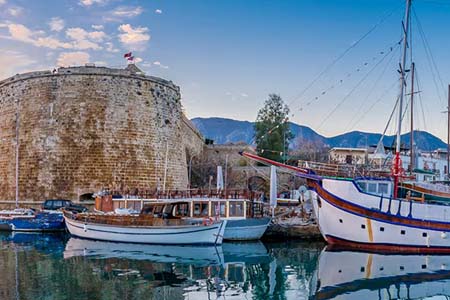 языковые школы