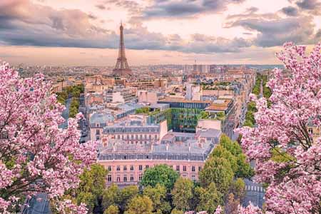 учить французский во Франции