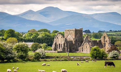 учеба и карьера в Ирландии