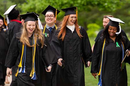 американские университеты