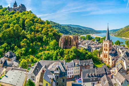 школы и курсы