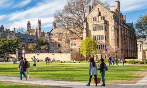 специальности для обучения