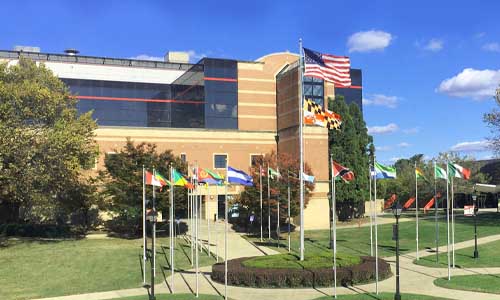 выпускники комьюнити колледжей