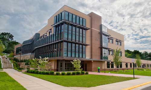 варианты образовании в США