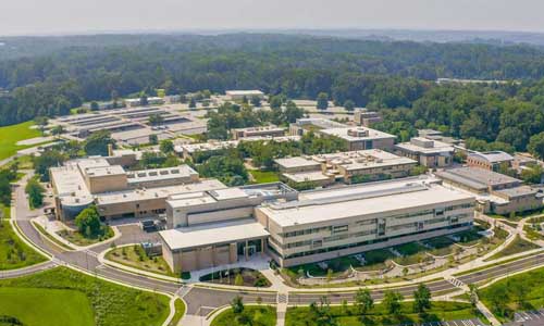 Колледжи США