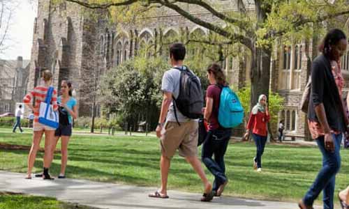 зачисление в университеты